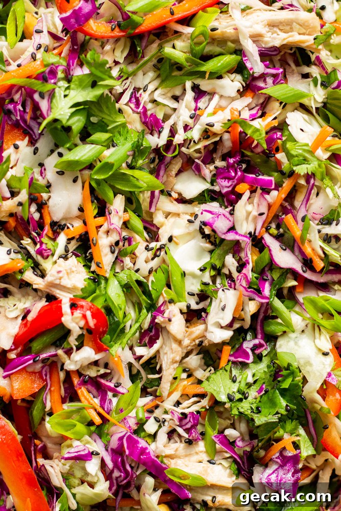 Crispy Chinese Chicken Salad with Sesame-Ginger Dressing 6 Chinese Chicken Salad