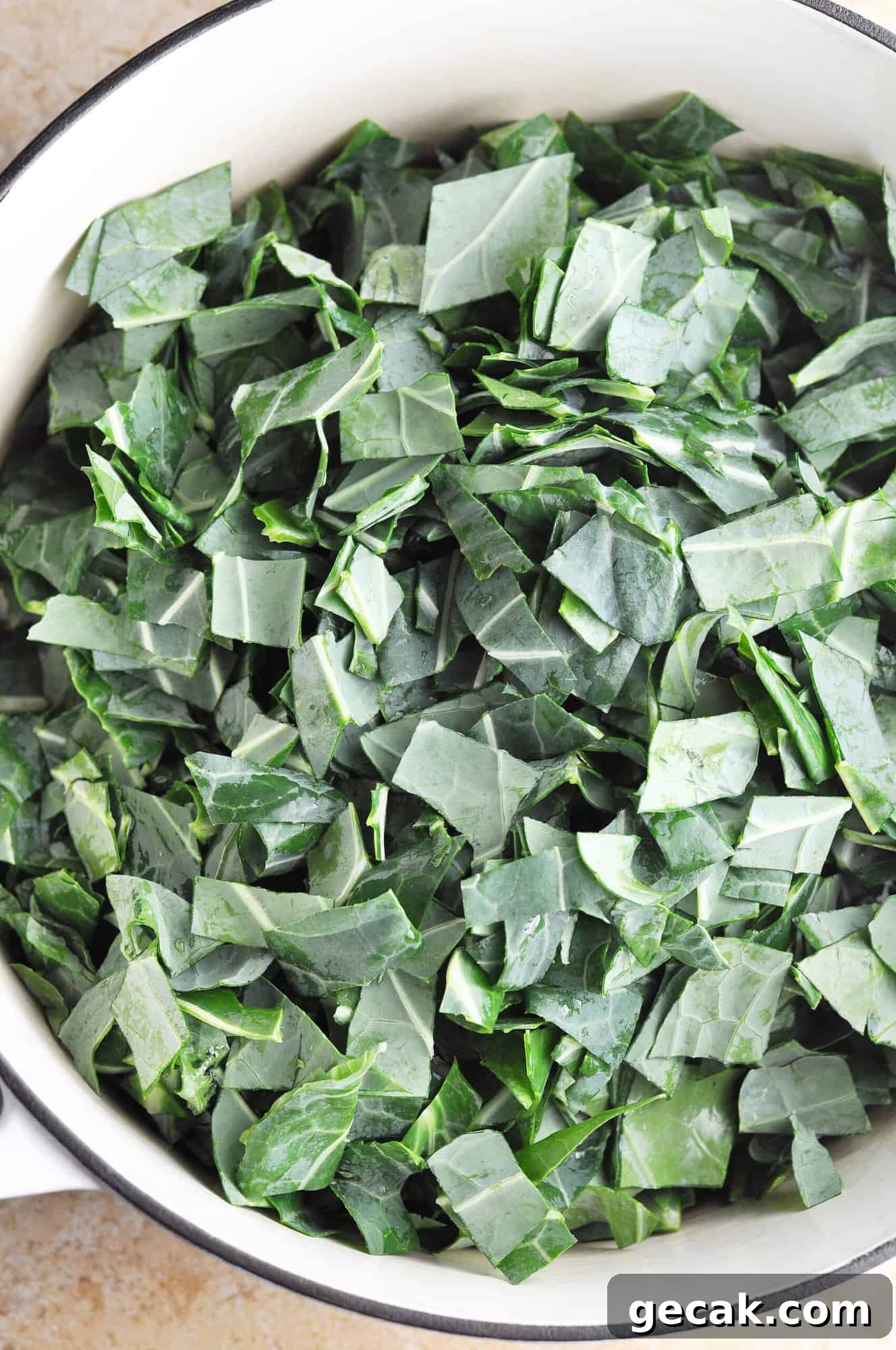 img 2254 5