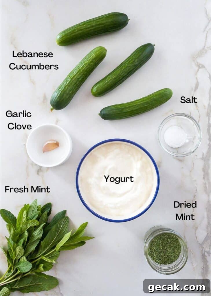 Ingredients needed to make a Lebanese Cucumber Yogurt Salad.