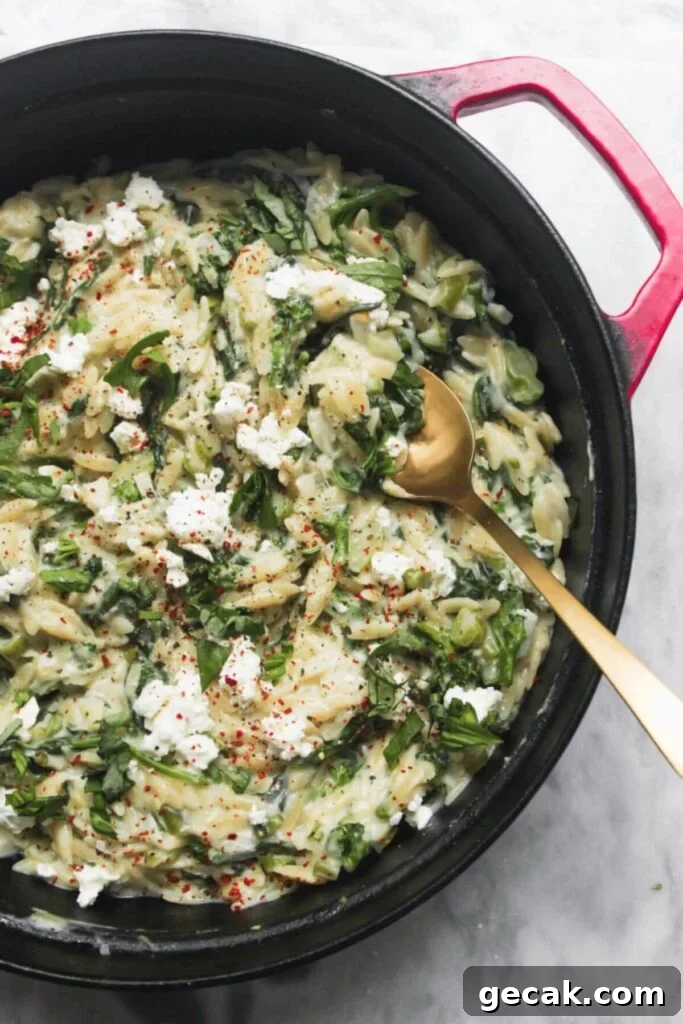 Turkish-Style Poached Eggs with Tomato and Yogurt Sauce 15 Creamy spinach and feta one pot orzo in a black and red pan on a grey marble background.