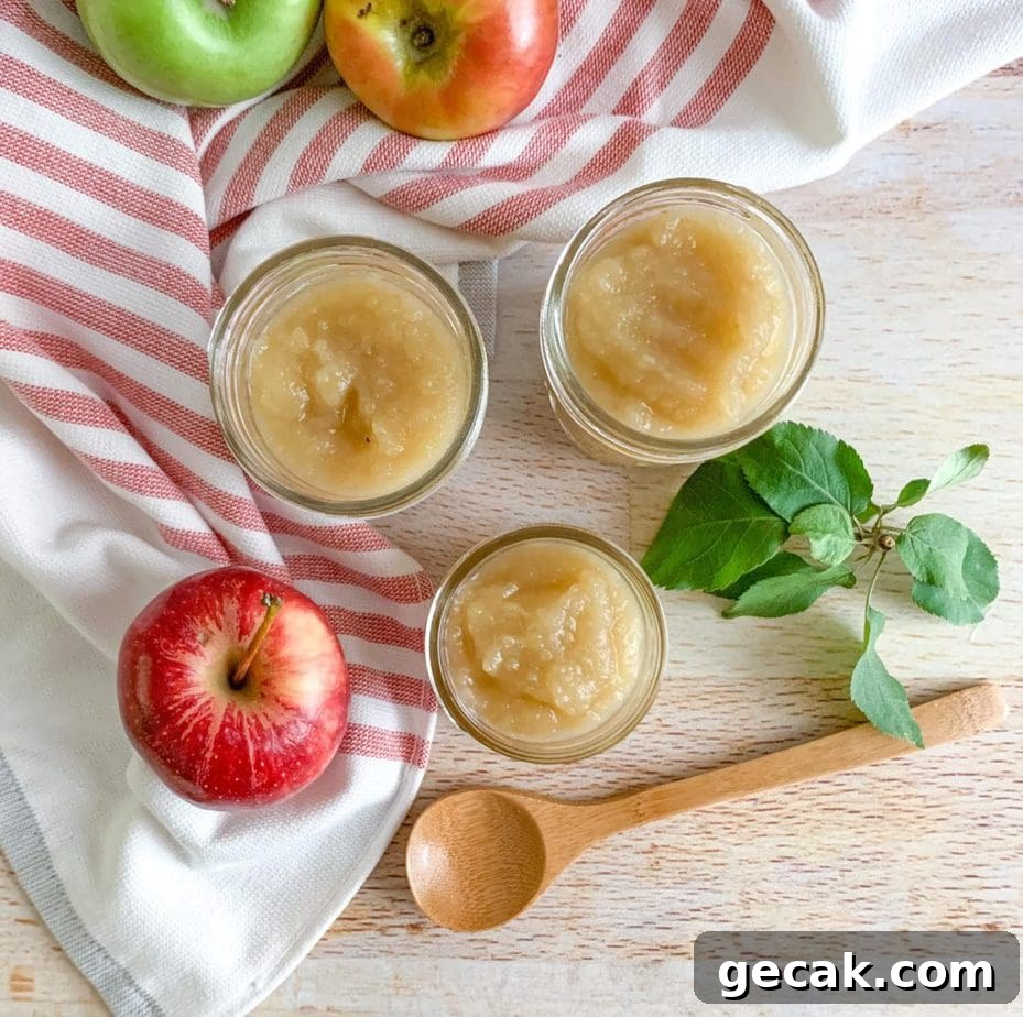 How to make applesauce from scratch with no sugar added