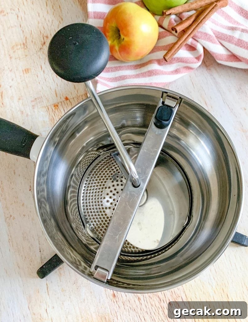 Food mill to make a no peel applesauce
