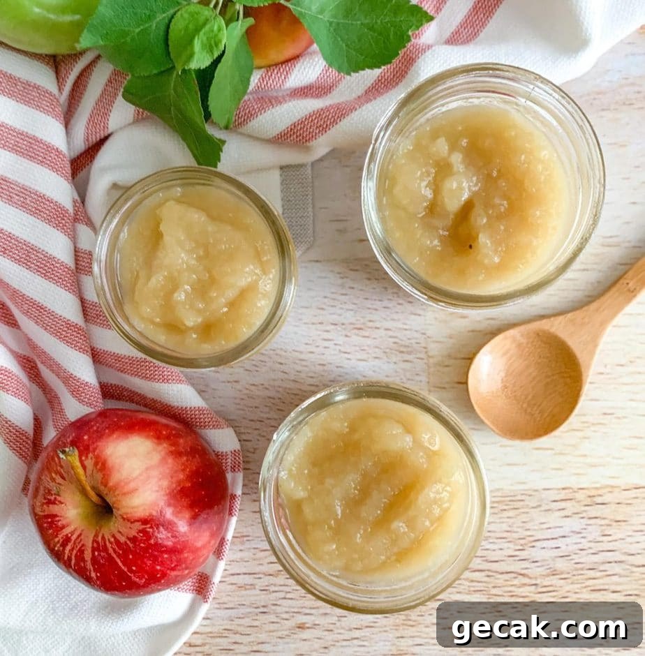 A top down view of three jars of applesauce. A wooden spoon and apples decorate around the jar.