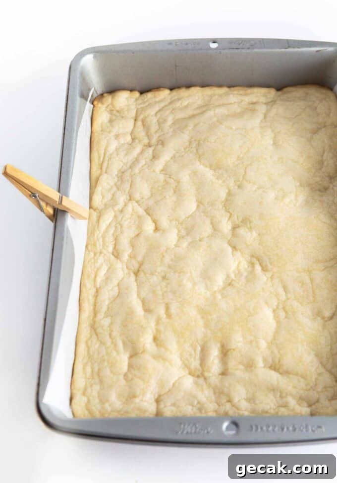 Baked unfrosted 9x13 metal pan of sugar cookie bars