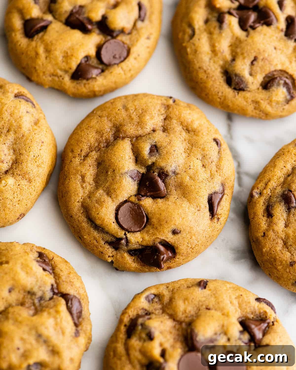 overhead photo of seven Pumpkin Chocolate Chip Cookies