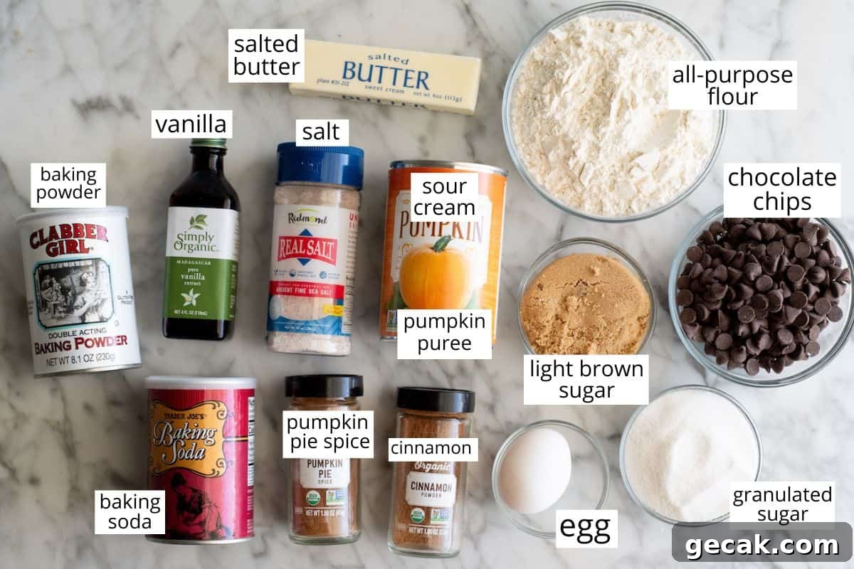 overhead view of the labeled ingredients in this Pumpkin Chocolate Chip Cookie recipe