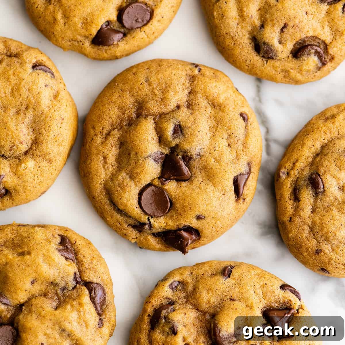 overhead photo of 6 Pumpkin Chocolate Chip Cookies