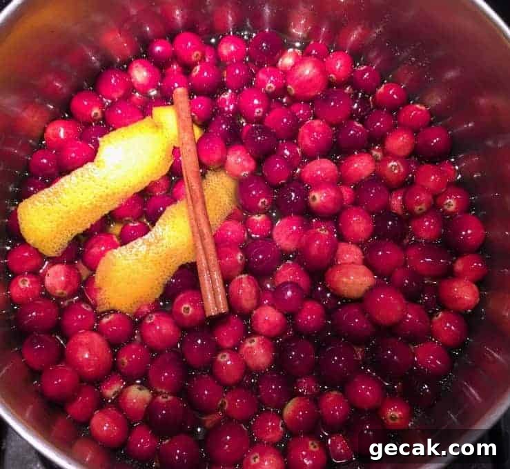 Whole cranberries in a pot along with orange peel and a cinnamon stick.