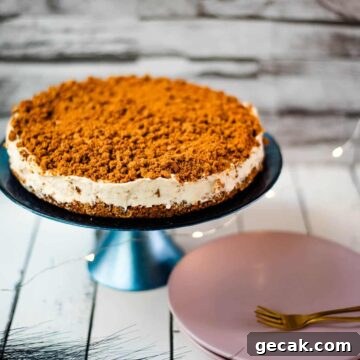 Gorgeous no bake Biscoff cheesecake on blue cake stand. Placed on white wooden ground next to two pink plates.