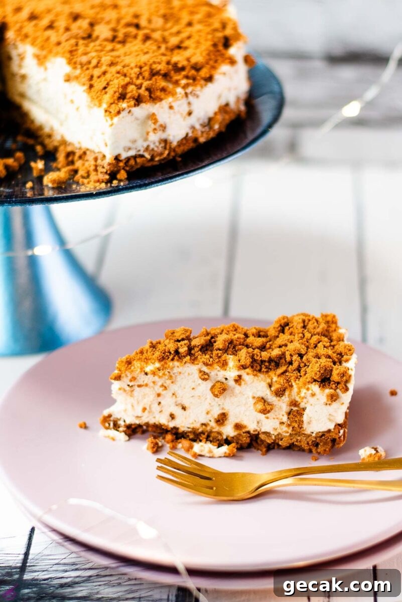 Gorgeous no bake Biscoff cheesecake slice on pink plate next to two golden forks.