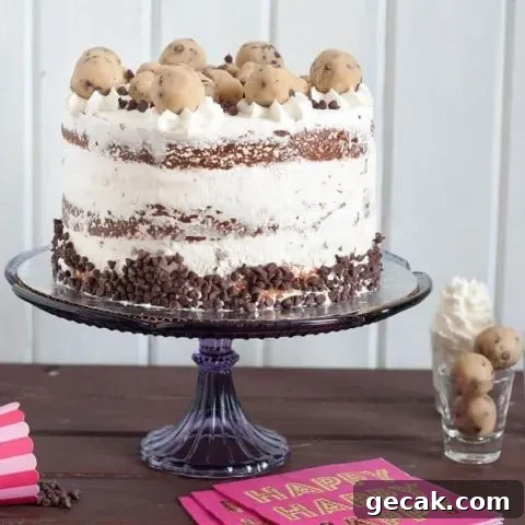 Cookie Dough Ice Cream Cake - Learn how to assemble the perfect ice cream cake at home, and customize it with an edible cookie dough recipe. * GoodieGodmother.com