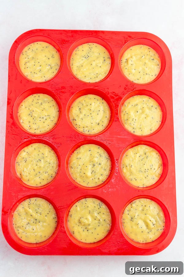 Divide batter evenly among the muffin liners or cups.