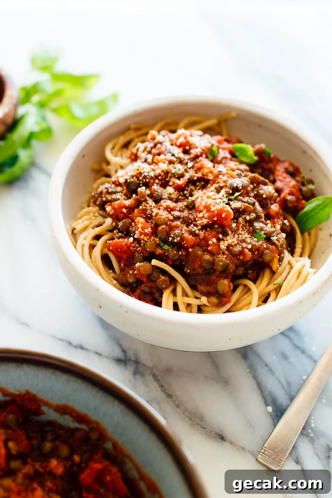 lentils with marinara sauce and pasta recipe