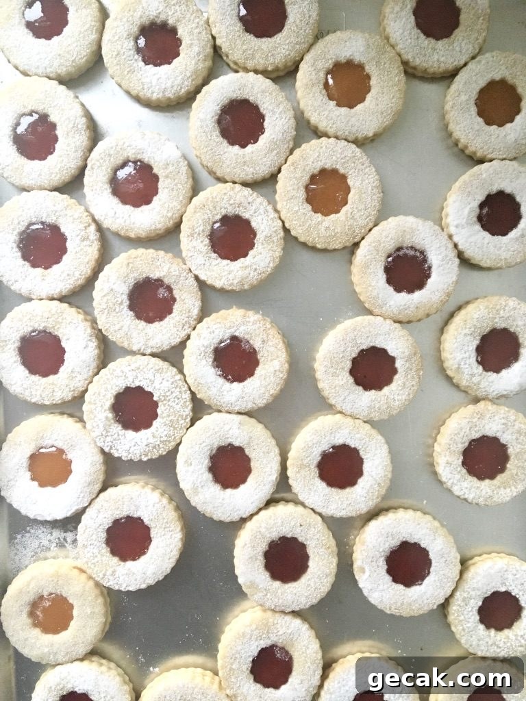 Linzertorte Cookies Recipe: Classic Austrian Jam-Filled Shortbread 5 img 317 4