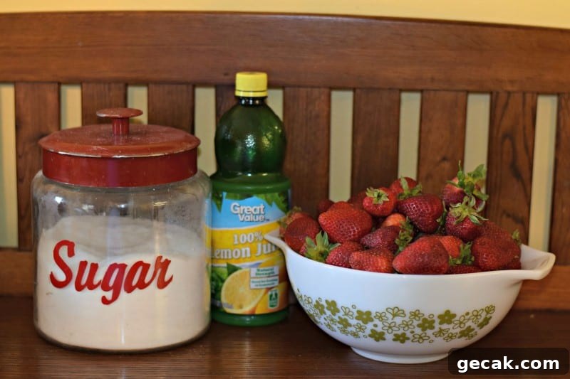 Strawberry Lemonade Concentrate - can it now to enjoy later! This stuff is AMAZING and hardly anyone things about canning their own juice! 