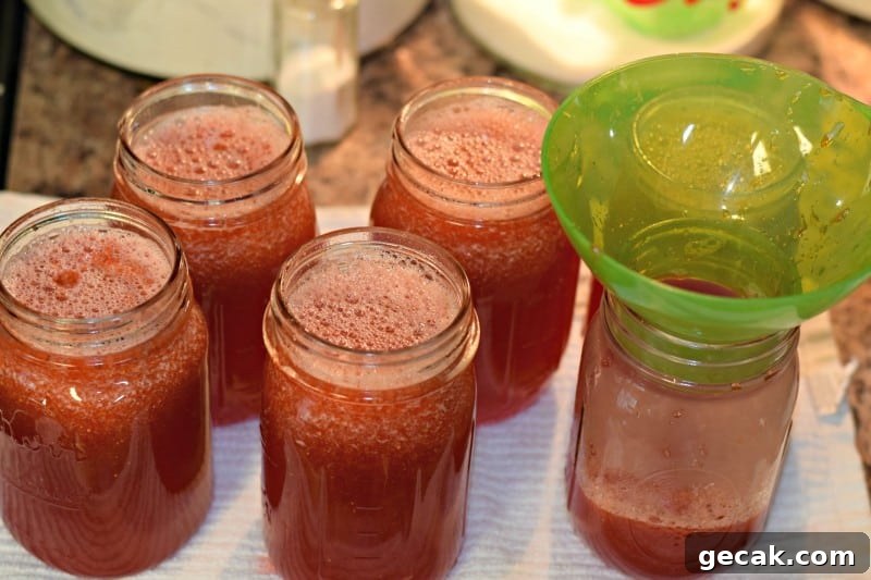 Strawberry Lemonade Concentrate - can it now to enjoy later! This stuff is AMAZING and hardly anyone things about canning their own juice! 