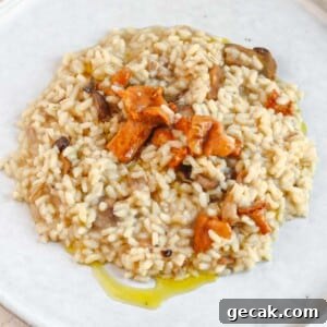 vegetable risotto on a plate with olive oil