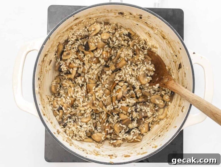 arborio rice and mushrooms in a casserole