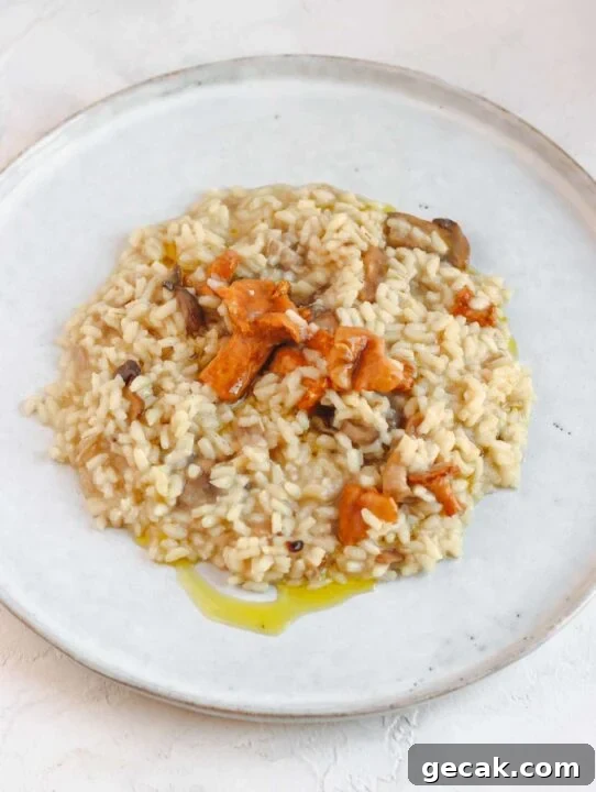 vegan mushroom risotto