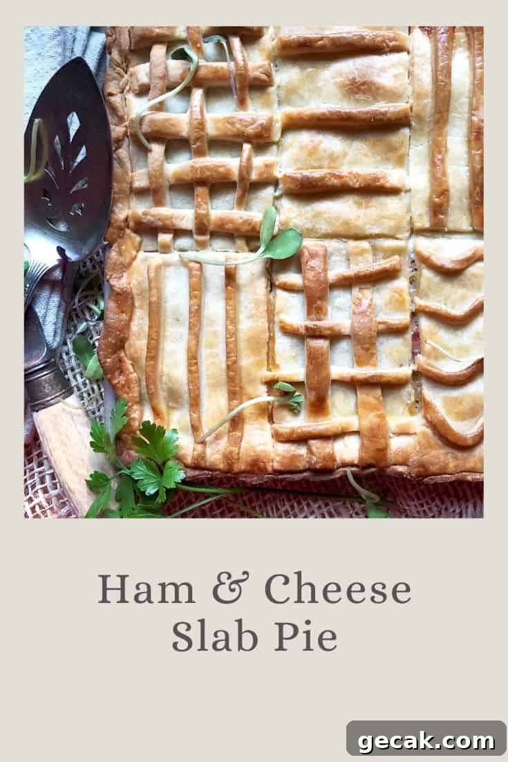 Grilled Vegetable Platter That Wows Guests 9 ham & cheese slab pie