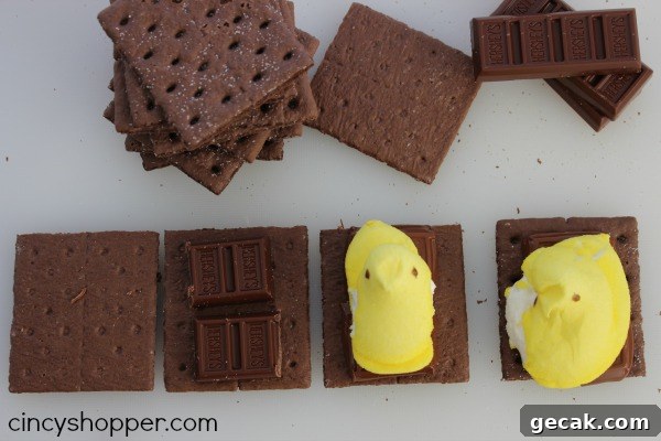 Peeps Smores inp