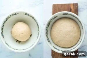 Two images showing stages of bread dough proofing.