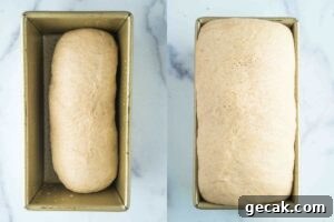 dough in loaf pan before and after final rise