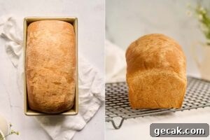 fully baked loaf in pan.
