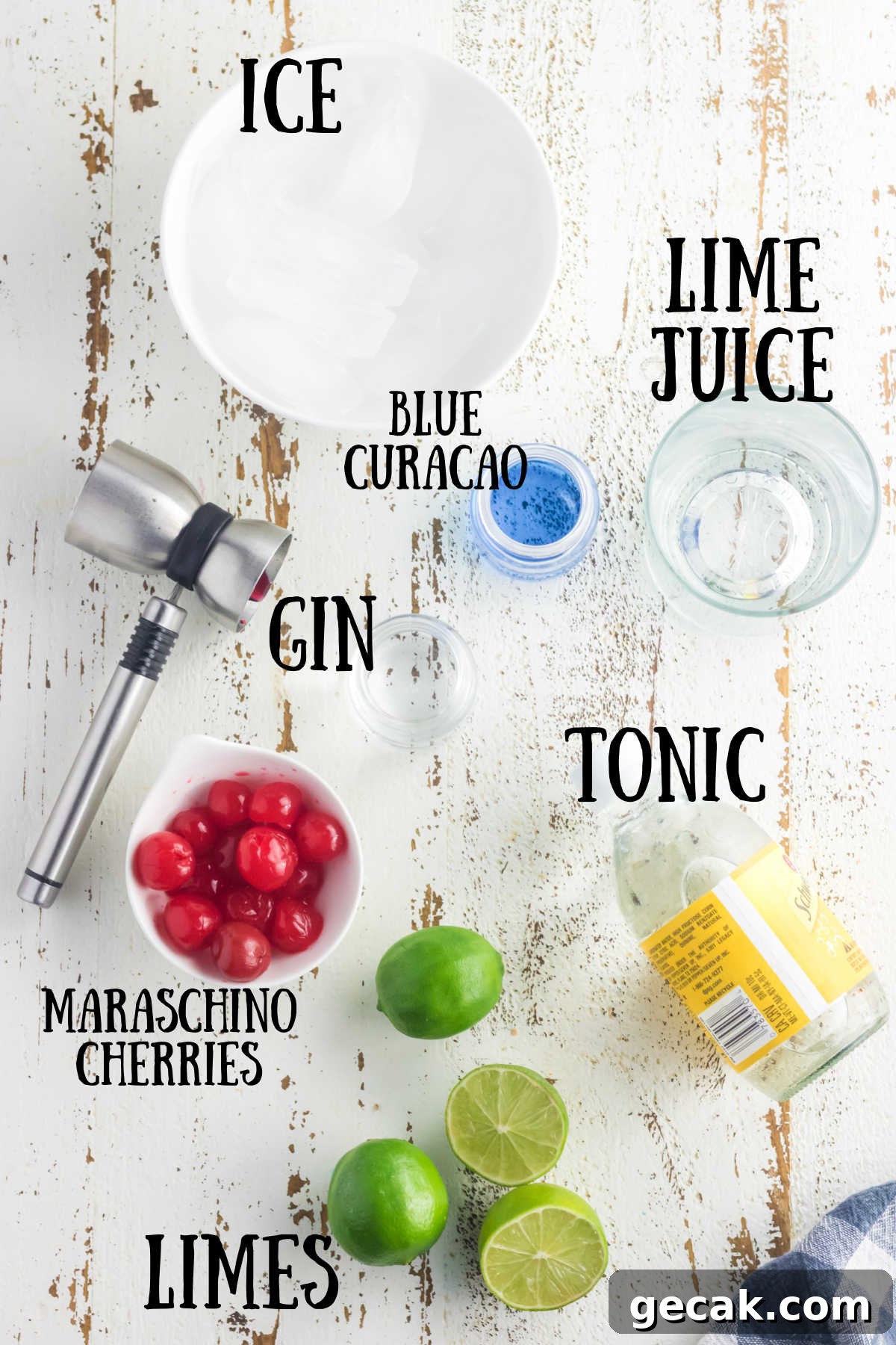 Ingredients for Gin and Tonic