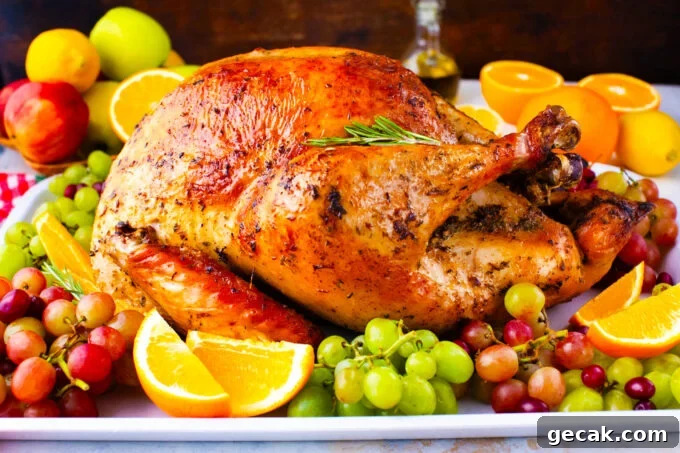 Crispy oven roasted turkey served with grapes and oranges.