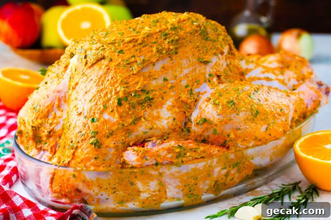 Whole turkey coated in orange herb butter mixture.