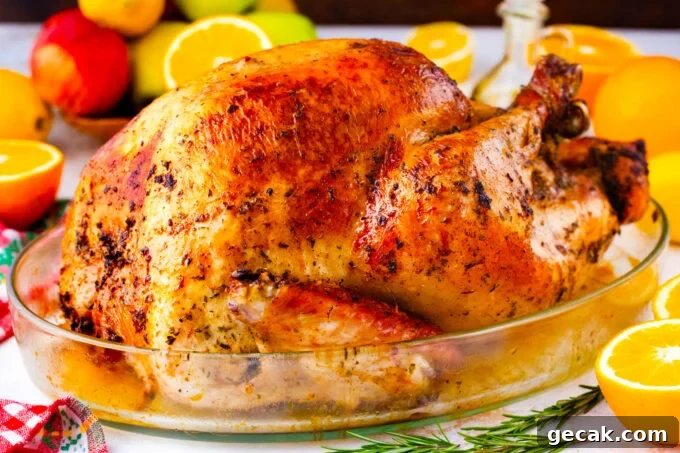 Perfectly browned and crispy whole oven roasted turkey.