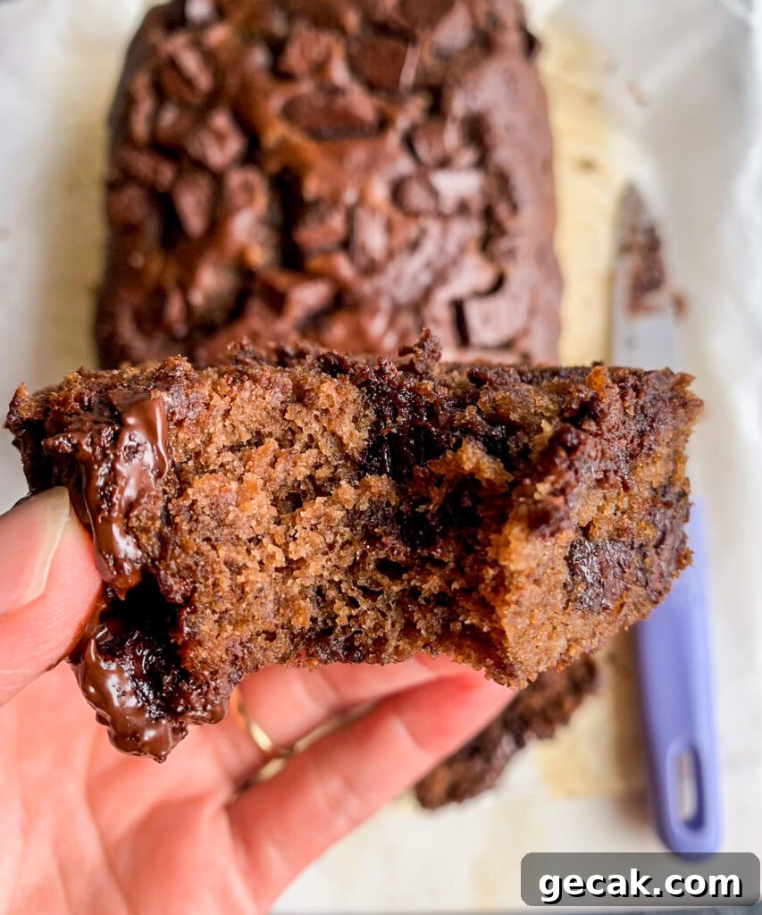 Eggless Double Chocolate Banana Bread Recipe 4 Soft and moist, eggless chocolate banana bread with cocoa and lots of chocolate chunks