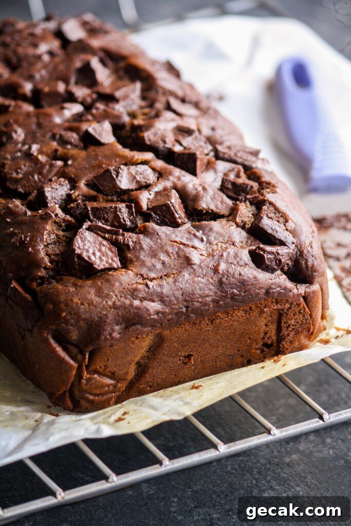 Eggless Double Chocolate Banana Bread Recipe 8 Soft and moist, eggless chocolate banana bread with cocoa and lots of chocolate chunks