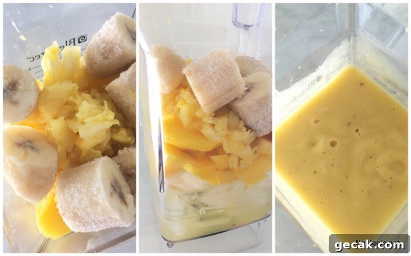 pineapple smoothie | NoBiggie.net