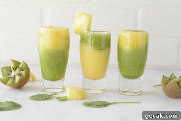 pineapple kiwi smoothies | NoBiggie.net