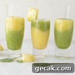pineapple kiwi smoothies | NoBiggie.net