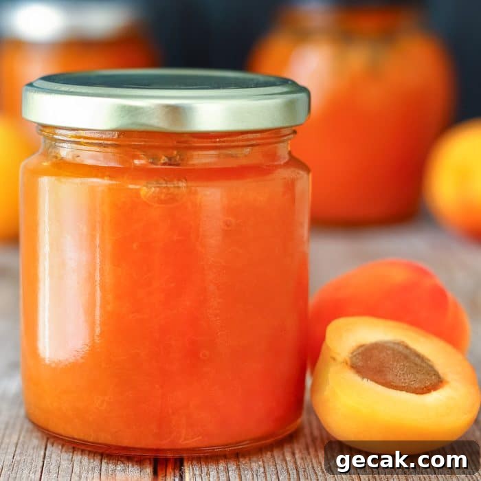 Small Batch Low Sugar Apricot Jam Image