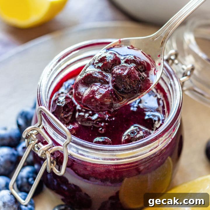 Blueberry Sauce Recipe