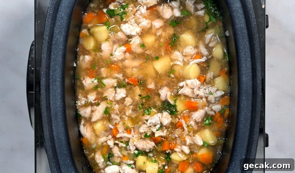 slow cooker chicken soup with gnocchi, process shot