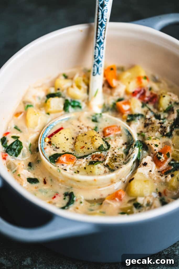 close up on a ornate ladle in a pot of chicken gnocchi soup