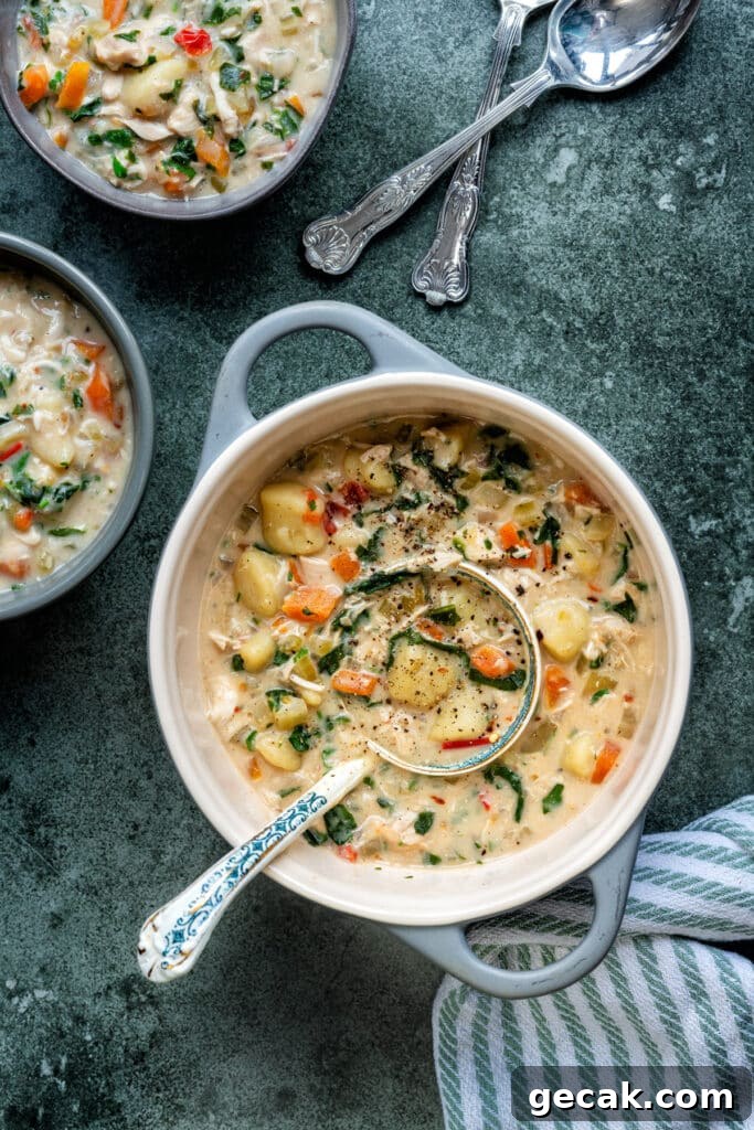 overhead photo of pot of chicken gnocchi soup with two bowl servings on the side