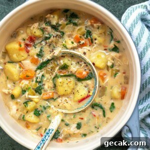 Chicken gnocchi soup in a ceramic pot with a ladle