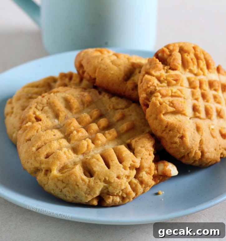 Keto Peanut Butter Cookies Recipe (Low-Carb, Sugar-Free) 2 Quick and Easy 3 Ingredient Peanut Butter Cookies -- The BEST low carb dessert recipe for beginners! So simple to make with ingredients you probably already have on hand.