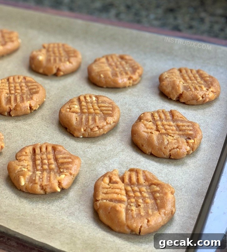 Keto Peanut Butter Cookies Recipe (Low-Carb, Sugar-Free) 6 Easy keto and low carb peanut butter cookies recipe.