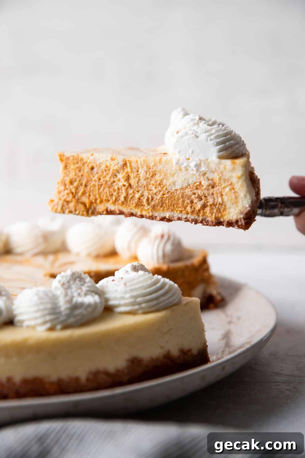 slice of pumpkin cheesecake