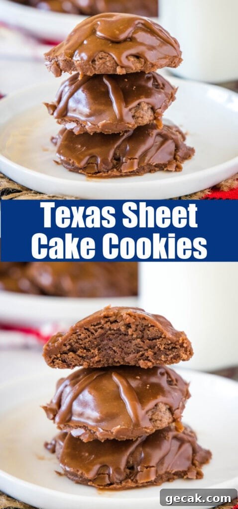 stacked chocolate cookies on a white plate
