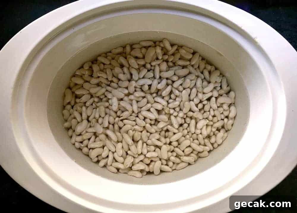 cooking white beans in a slow cooker or crockpot.