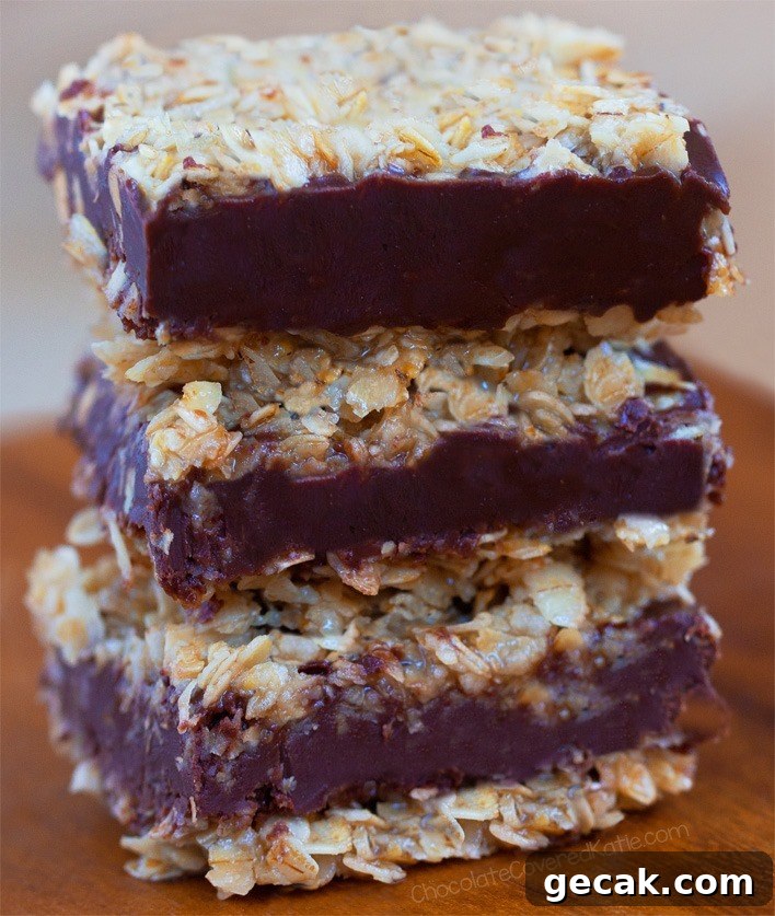 7 Ingredient Easy Chocolate Oatmeal Fudge Bars