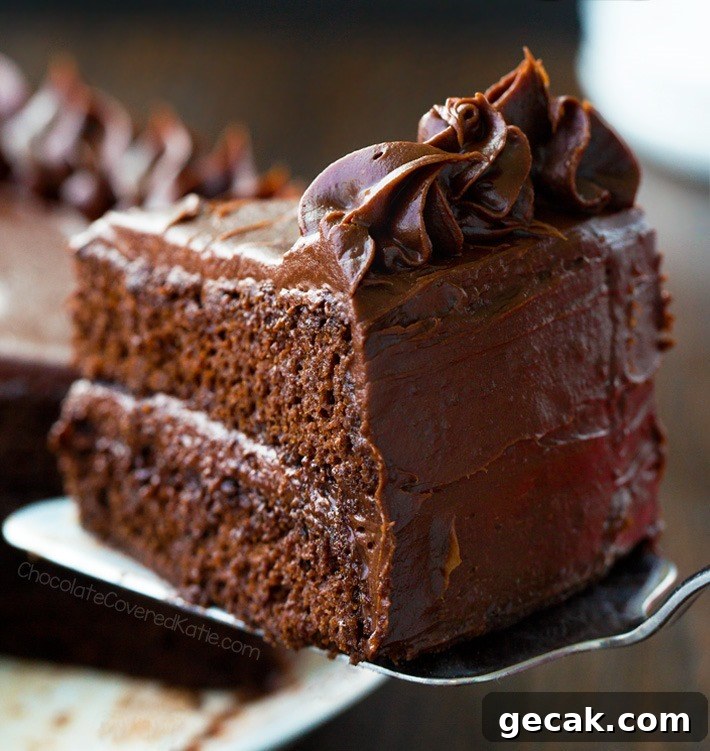 Secretly Vegan Low Carb Flourless Chocolate Cake Recipe